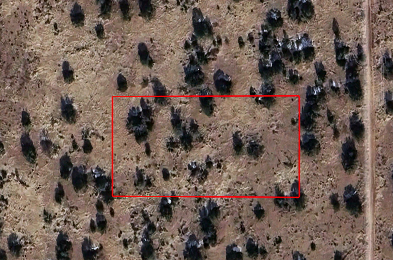 Deep 6 Lots of Trees - 880 S WEDGEWOOD DR WILLIAMS, AZ 86046