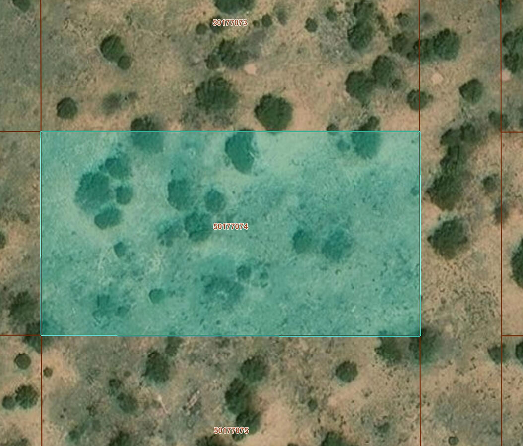 Deep 6 Lots of Trees - 880 S WEDGEWOOD DR WILLIAMS, AZ 86046