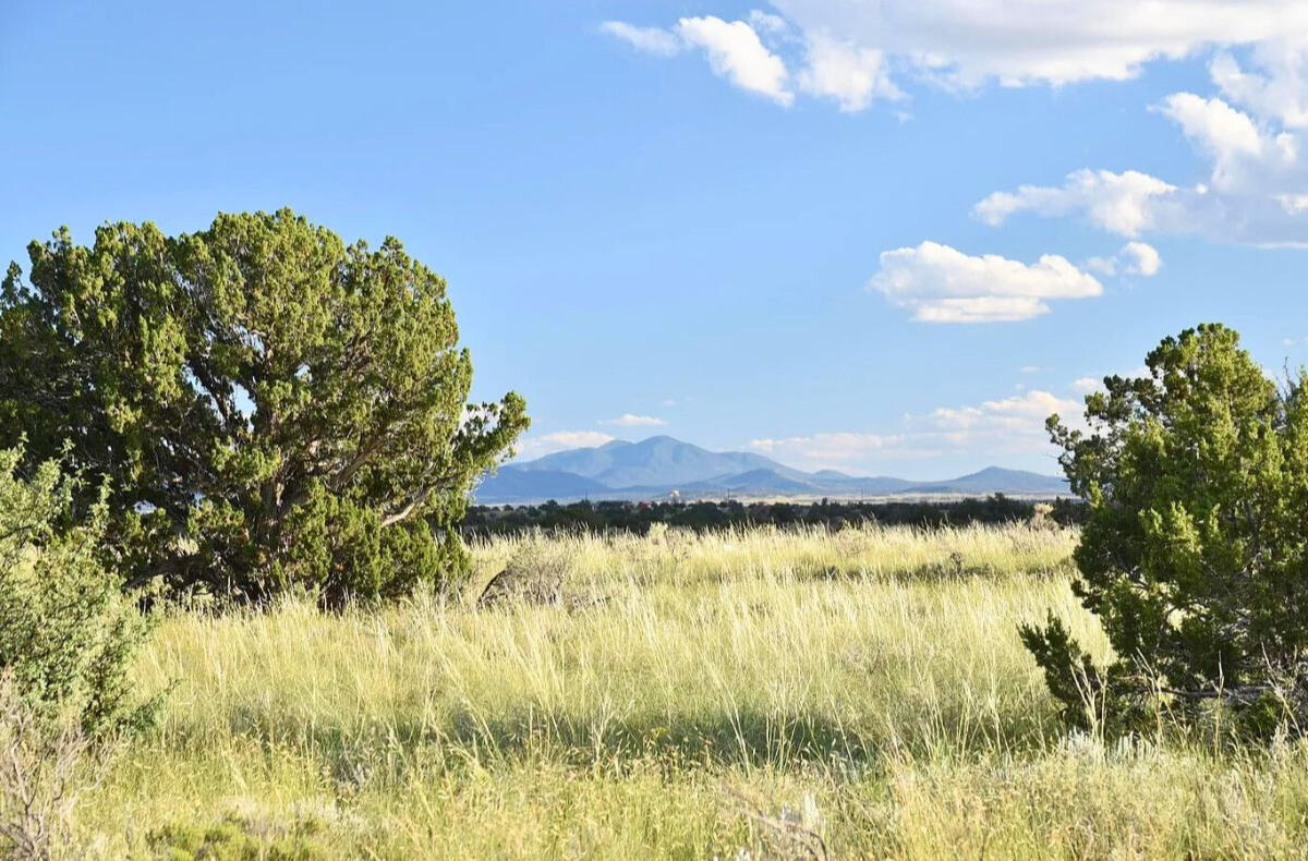 Deep 6 Lots of Trees - 880 S WEDGEWOOD DR WILLIAMS, AZ 86046